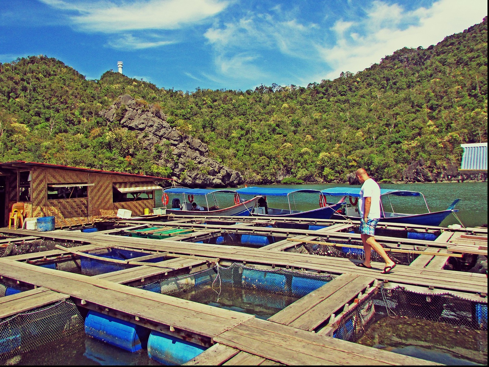 Fish Farm view 2