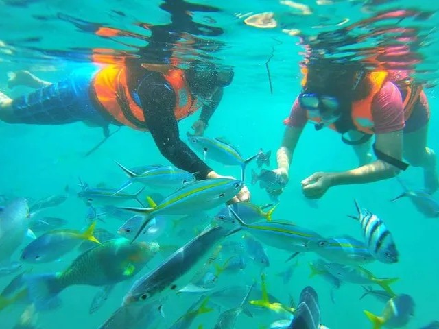 Snorkeling at Dangli Island